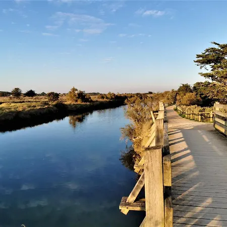 Mat De Misaine - Face *